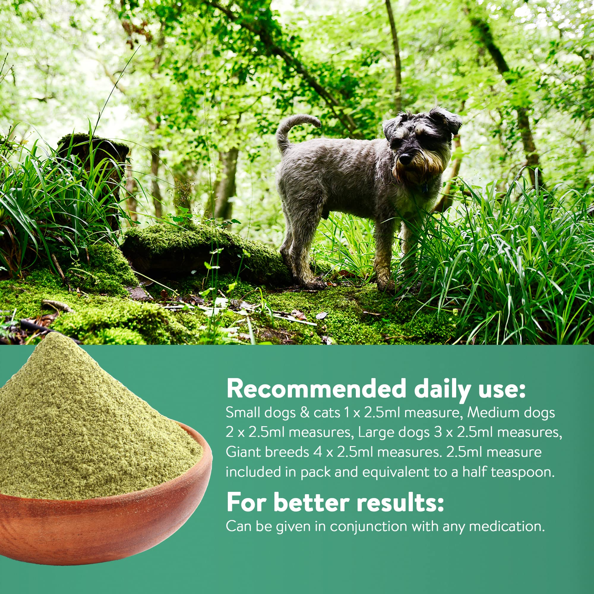DORWEST HERBS Easy-Green Powder for Dogs - Super Green Raw Diet Supplement | 250g 4