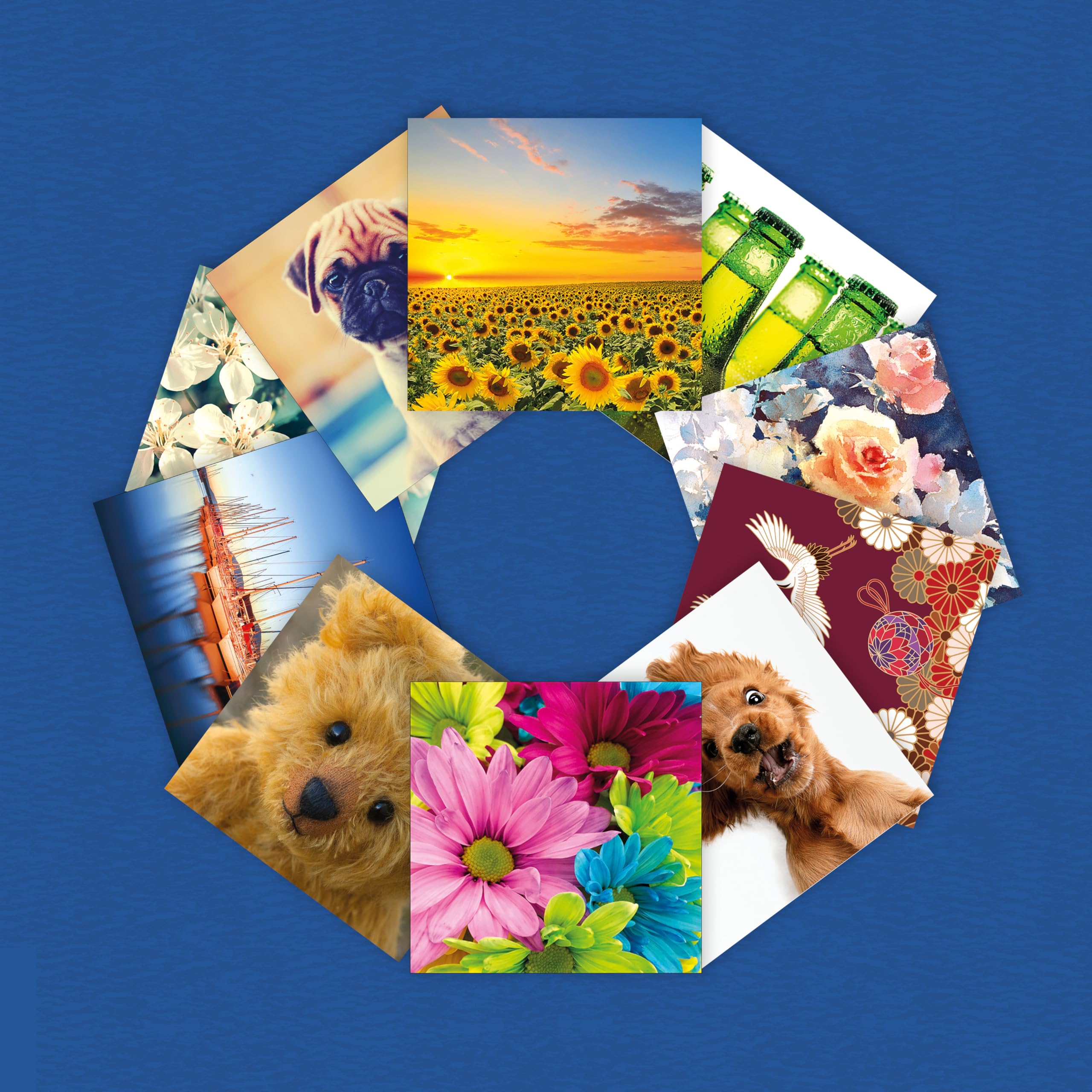Piccadilly Greetings Assorted Blank Cards Multipack - 20 Cards, 16x16 cm, FSC Mix Approved 3