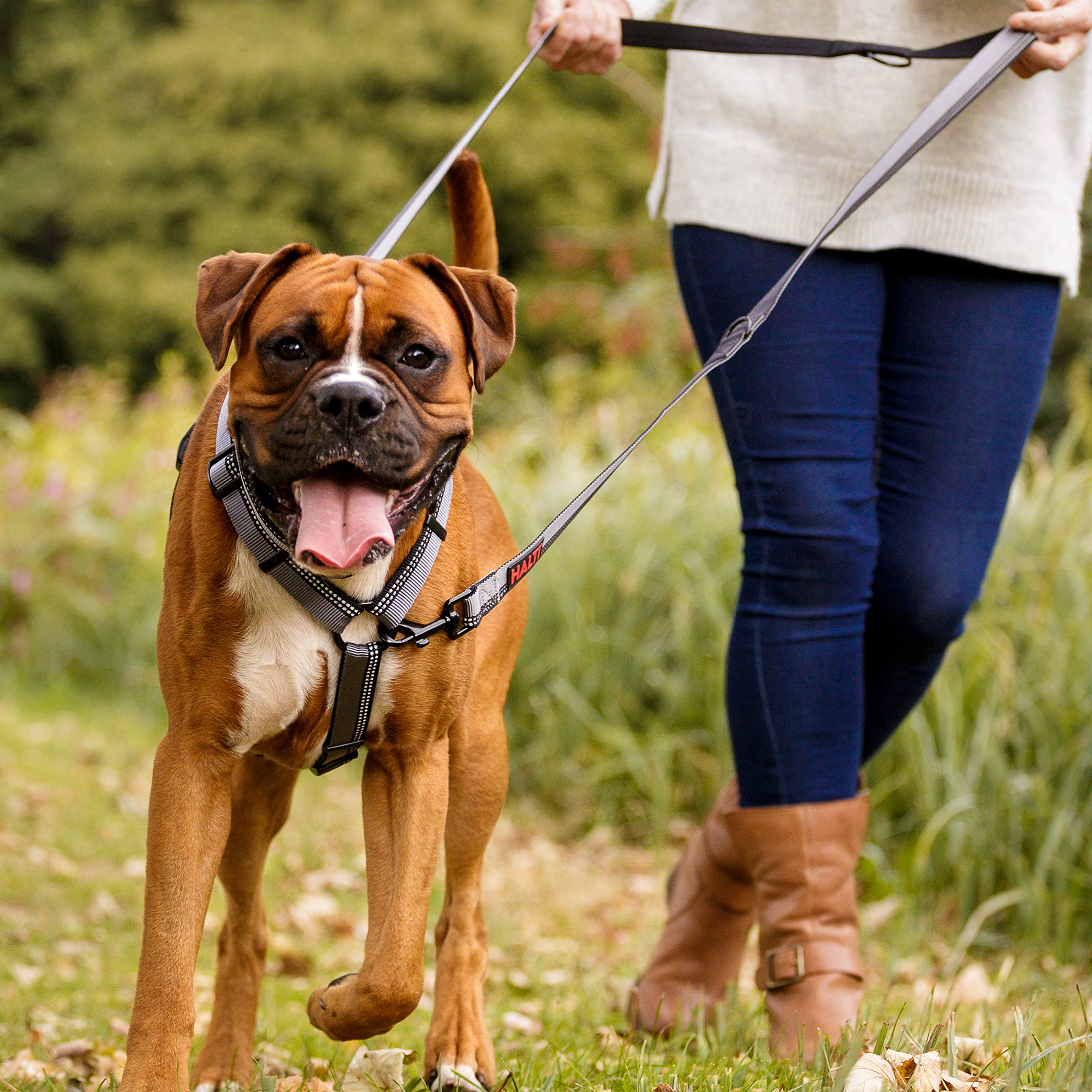 Halti Double-Ended Lead for Dogs - Large Size, Red, 2m Length | Multi-Use 5