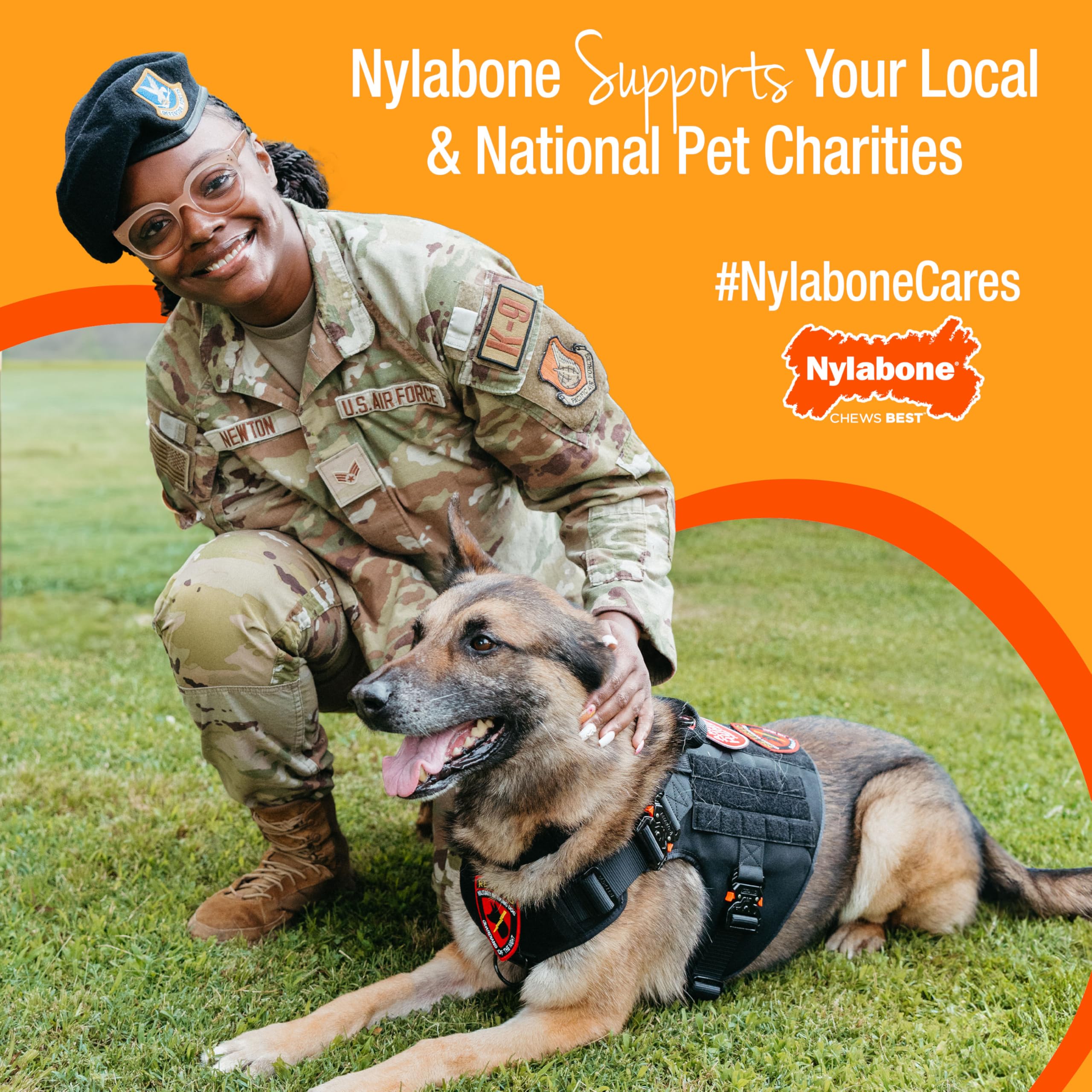 Nylabone Extreme Tough Dog Chew Toy - Beef Flavor, Medium (Up to 16 kg) 13