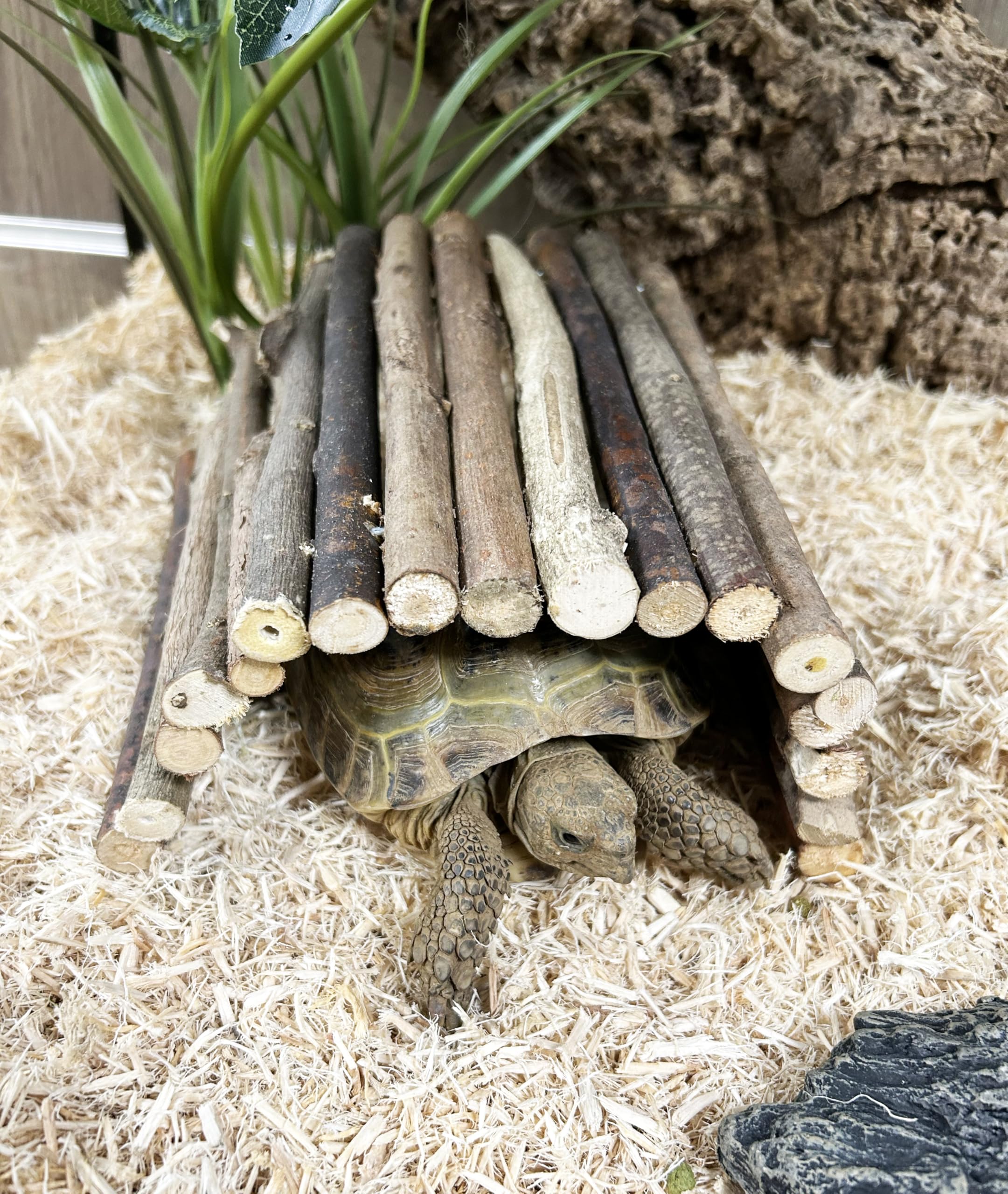 Komodo Flexi Stix - Medium Hideout Decor | Natural Material | Bendable & Mouldable 5