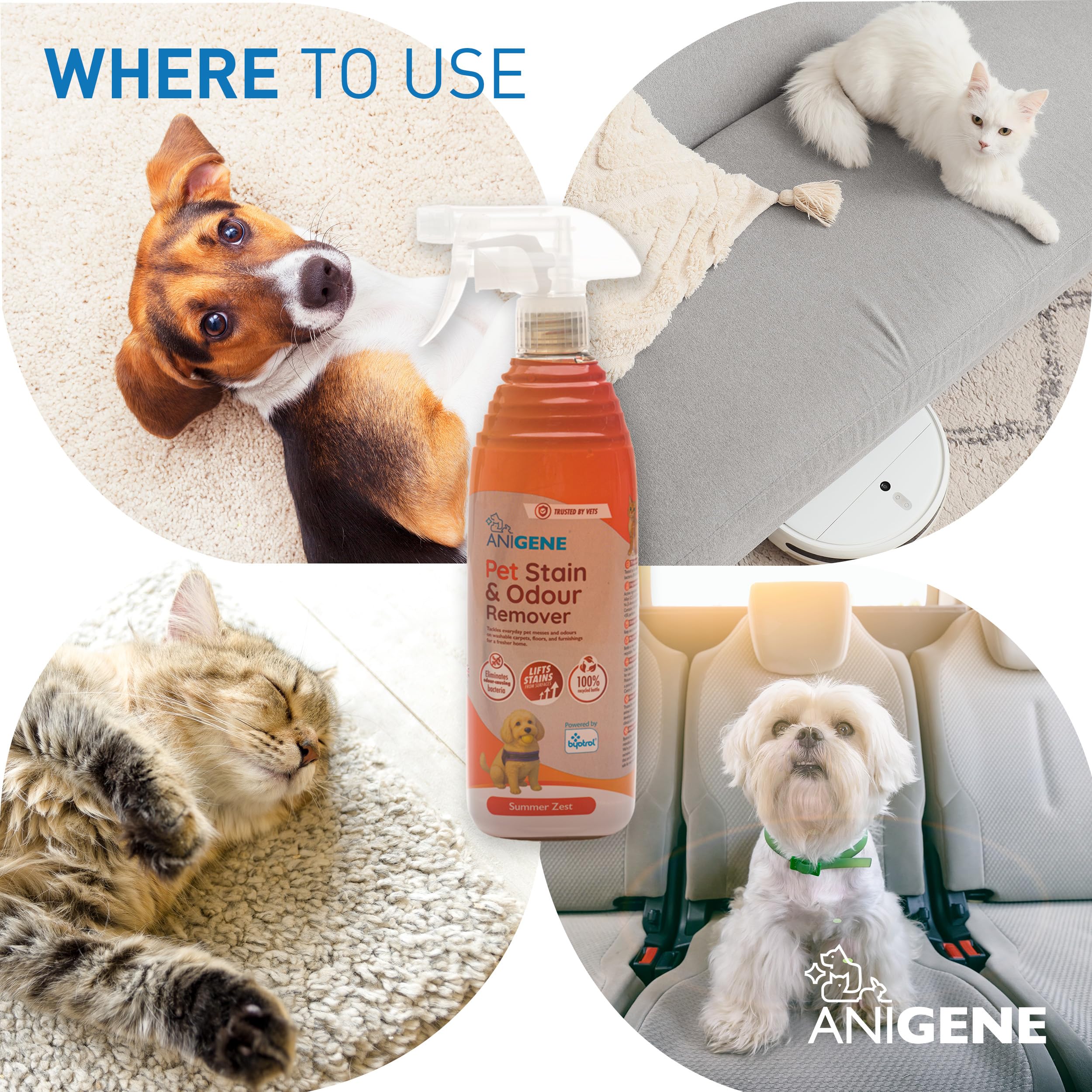 Byotrol ANIGENE Pet Stain & Odour Remover Spray - 750ml Summer Zest | Vet Quality | UK Made 4