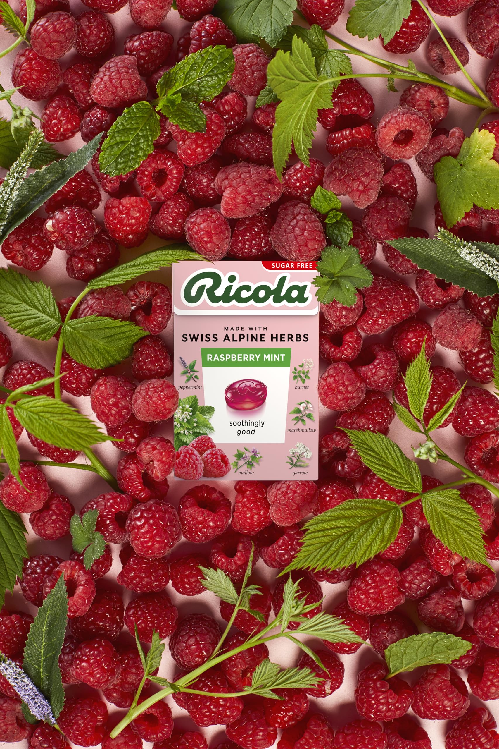Ricola Himbeer-Minze-Kräuterbonbons ohne Zucker, 10er-Packung (je 45 g), gesüßt mit Stevia, vegan und koscher 5