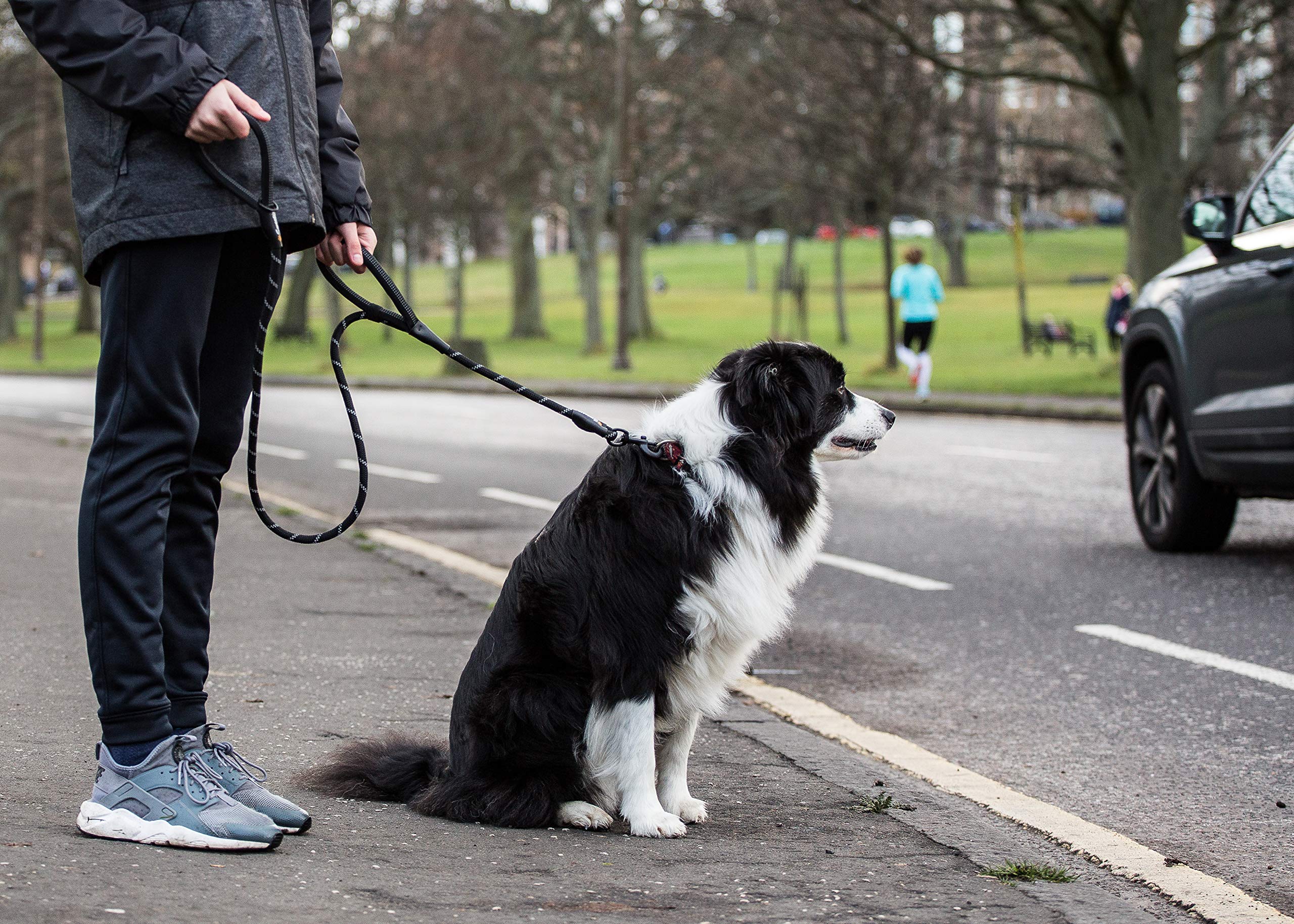 Sweetie Rope Dog Lead - Strong Black Leash with 2 Padded Handles | 1.5m Length 5