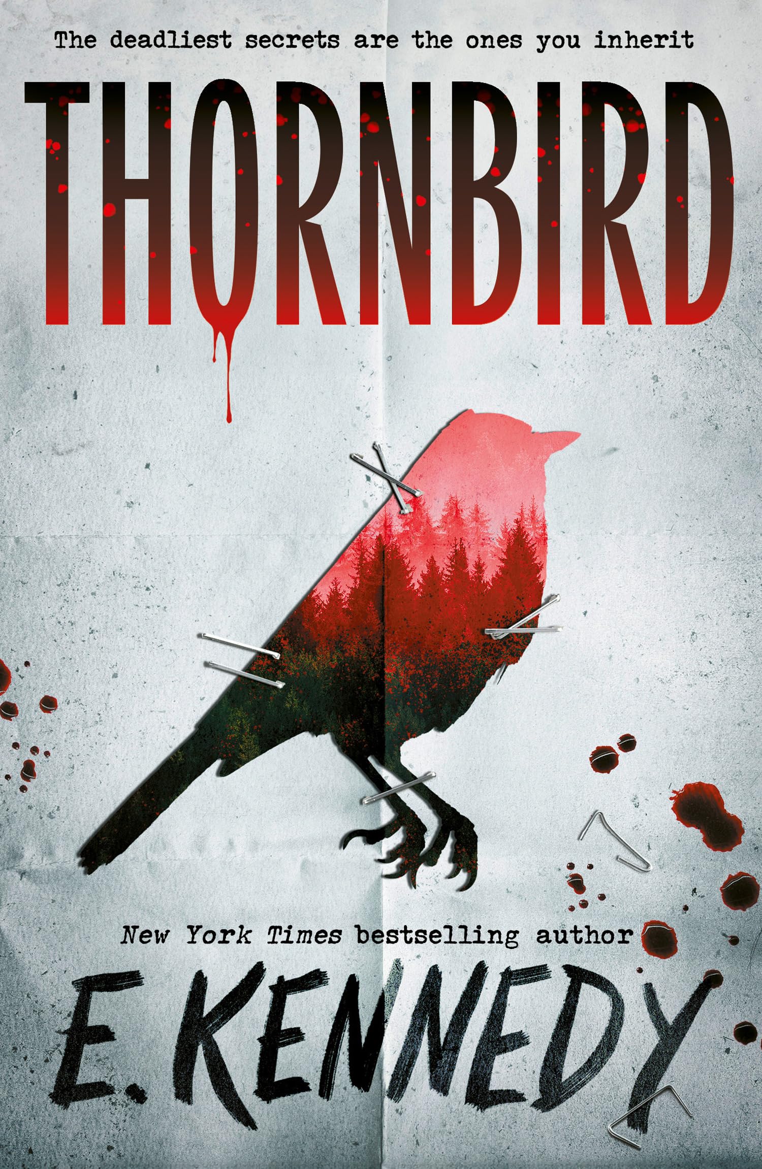 Electric Monkey Thornbird - YA Small Town Thriller Debut | Paperback | English