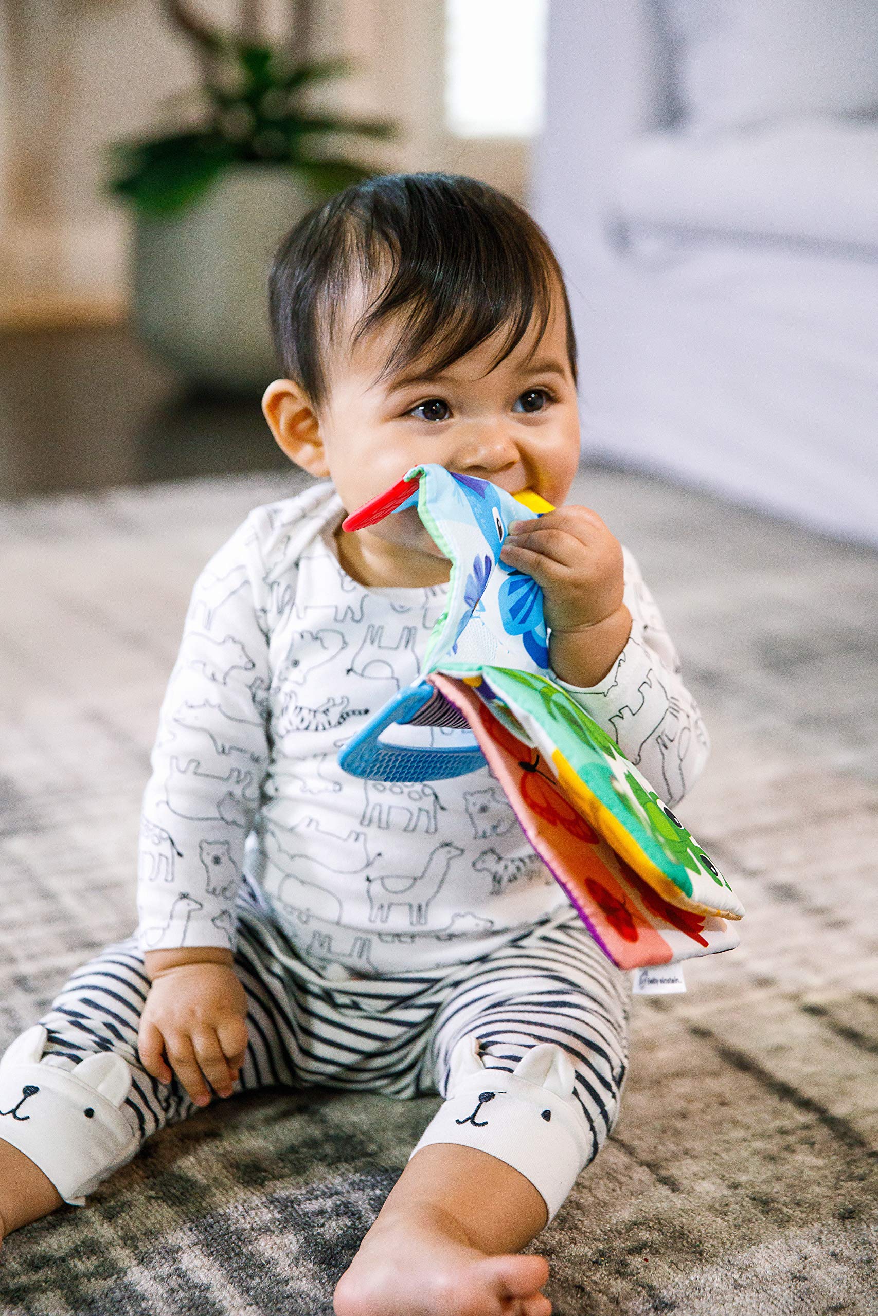 Baby Einstein Curious Explorers Teether Book Take-Along Toy for Newborns + 5