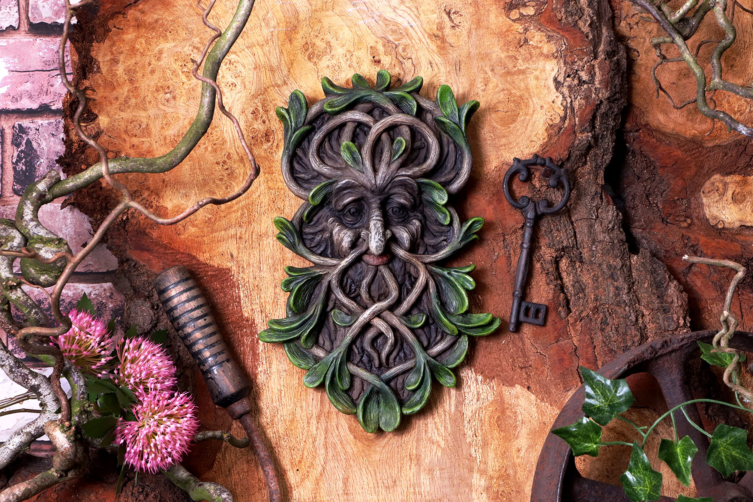 Nemesis Now Tawnya Tree Spirit Wall Plaque in Brown 7
