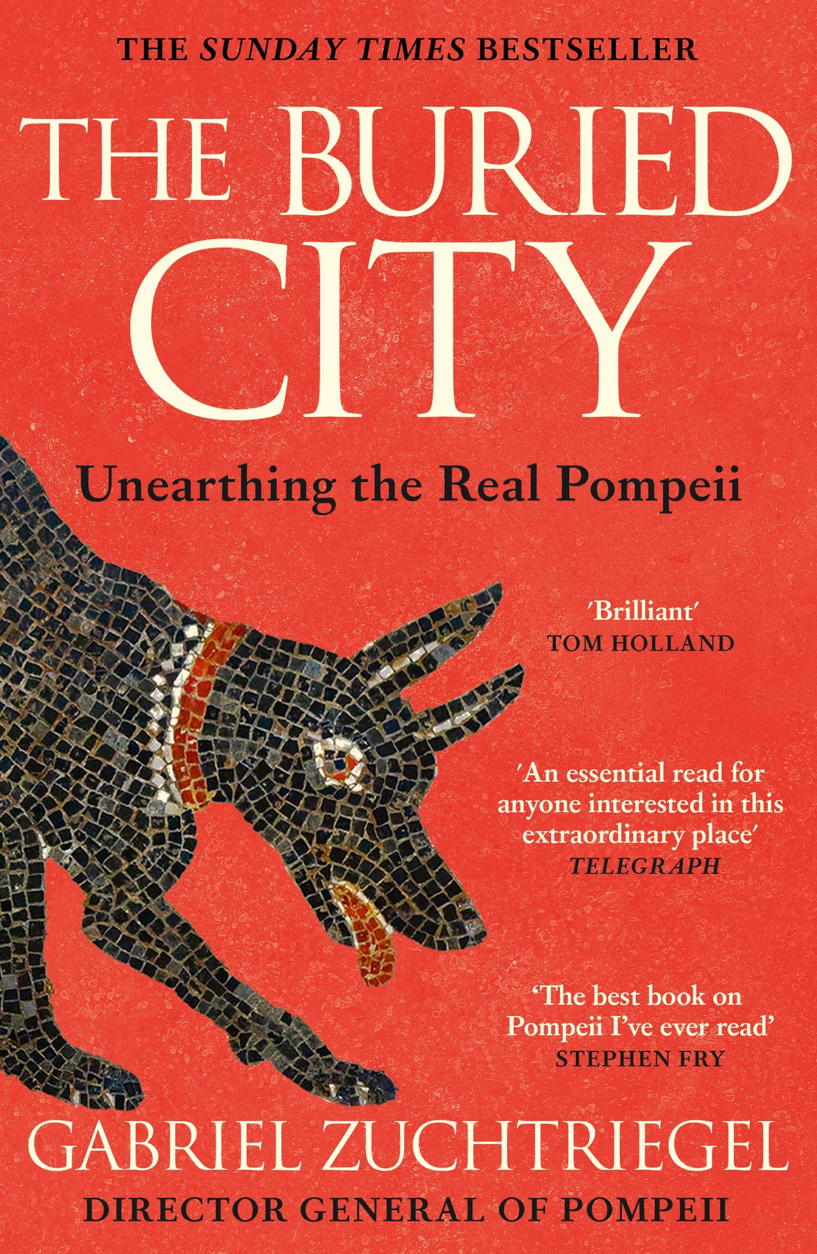 Gabriel Zuchtriegel - The Buried City: The Revelatory New History from the Director of Pompeii [Paperback]