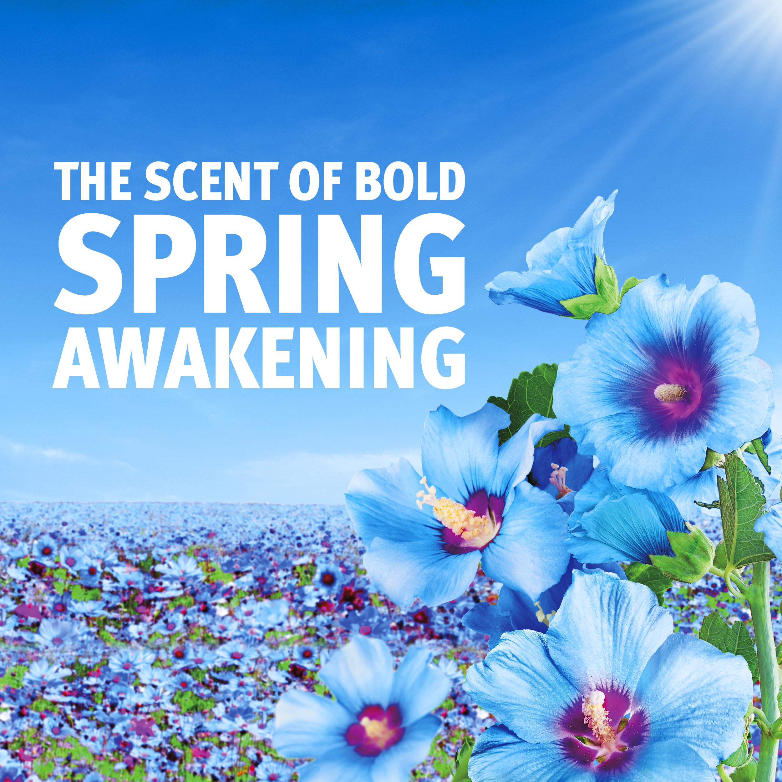 Bold PODS Spring Awakening Washing Liquid Laundry Detergent Capsules, 38 Washes 5