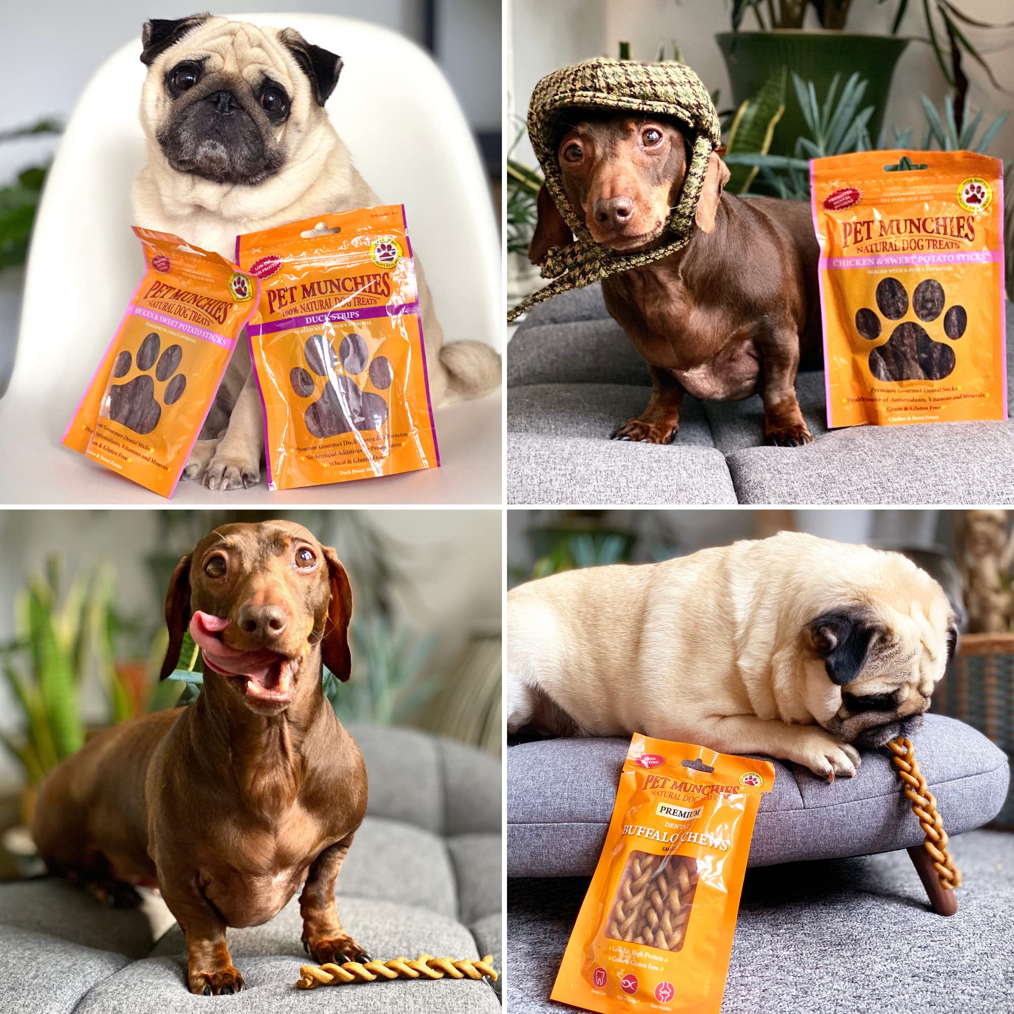 PET MUNCHIES Chicken with Carrot Dental Sticks Dog Treats - Natural, Low Fat | 90g Bag 5