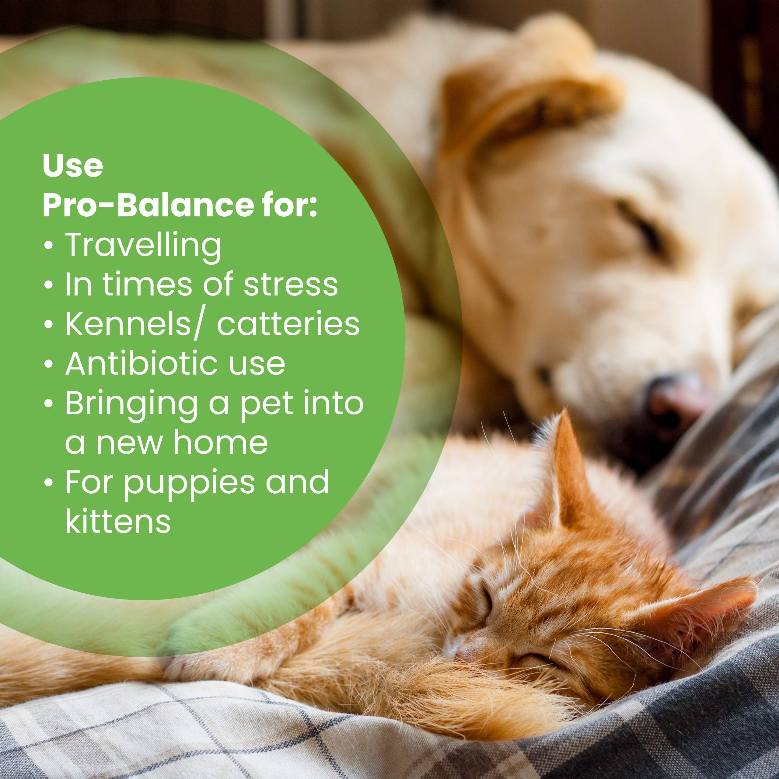 Protexin Pro-Balance Probiotic for Dogs and Cats - Daily Chewable Tablets for Digestive Health | 30 Count 4