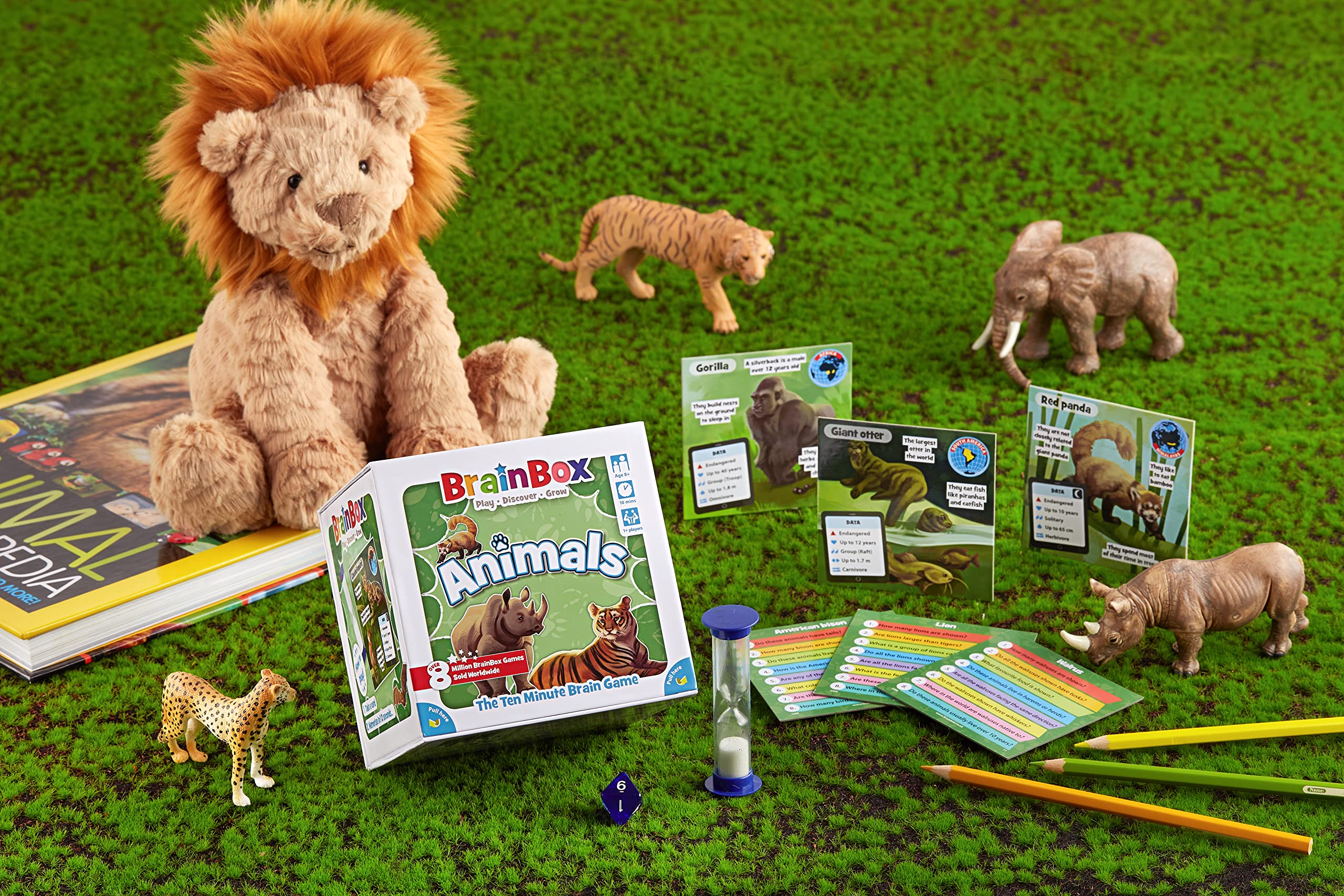 Brain Box Animals Dedicated Deck Card Game | Ages 8+ | 1+ Players | 10 Min Play Time 5