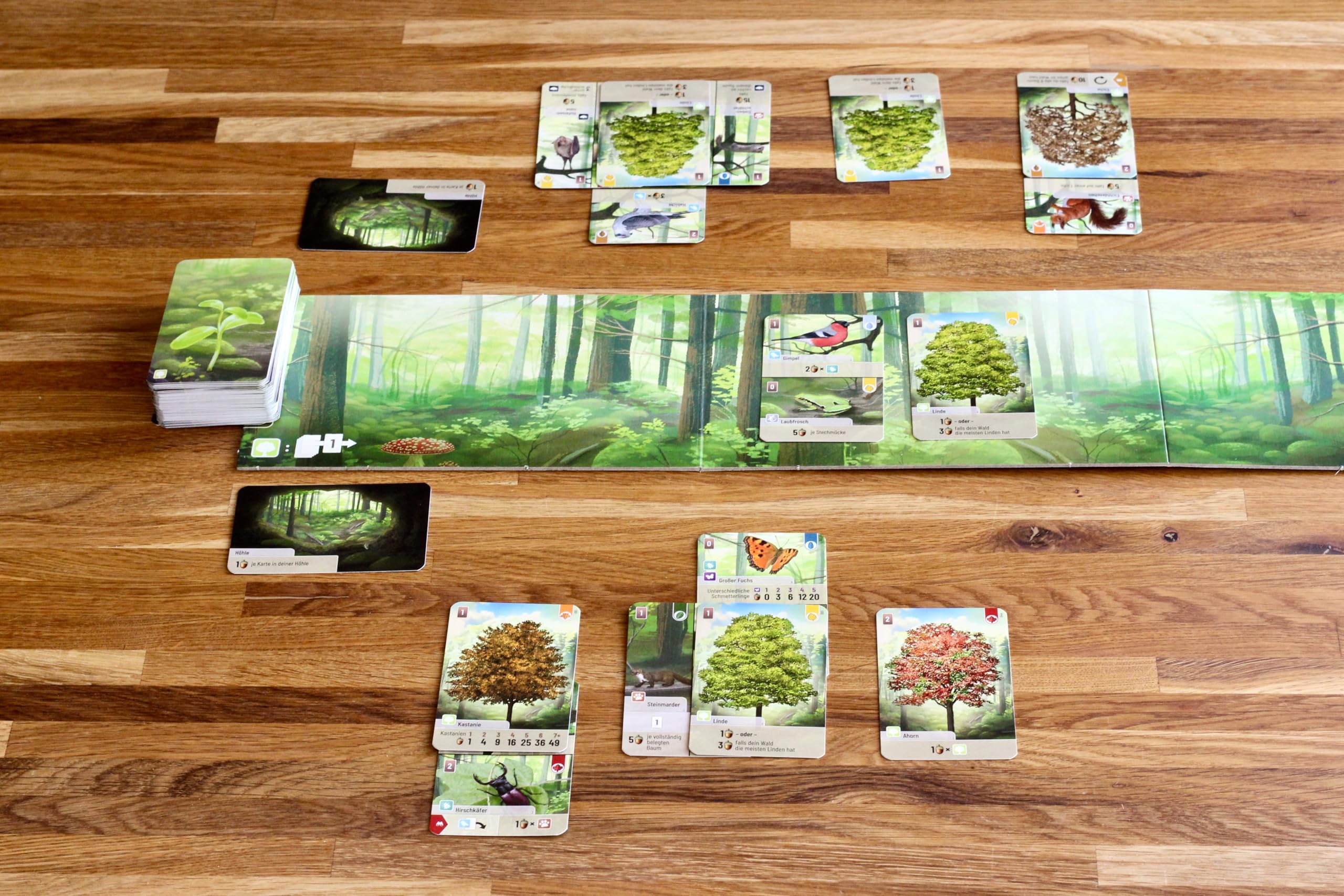 Lookout Forest Shuffle Card Game - Strategy Game for 2-5 Players | Ages 10+ | 60 Min Playtime 3