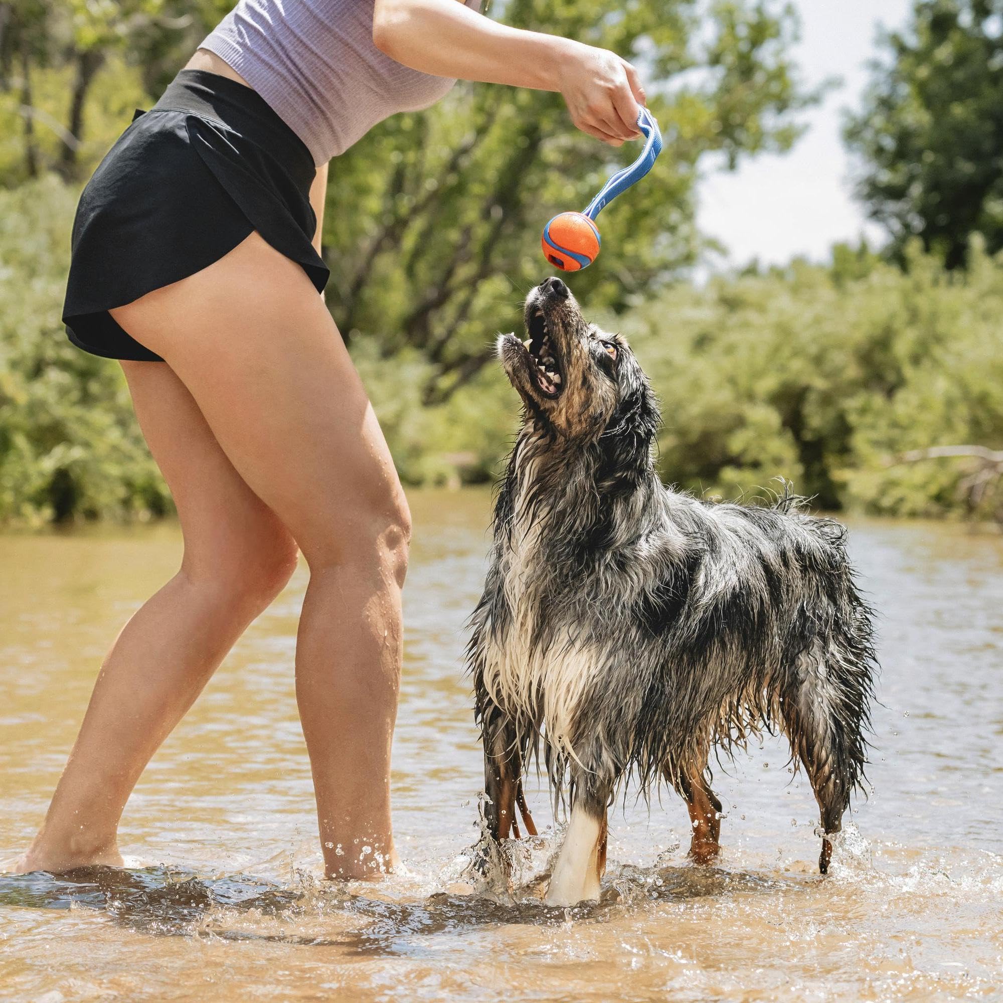 Chuckit! Ultra Duo Tug Dog Toy - Medium Size | Natural Rubber | Water Resistant