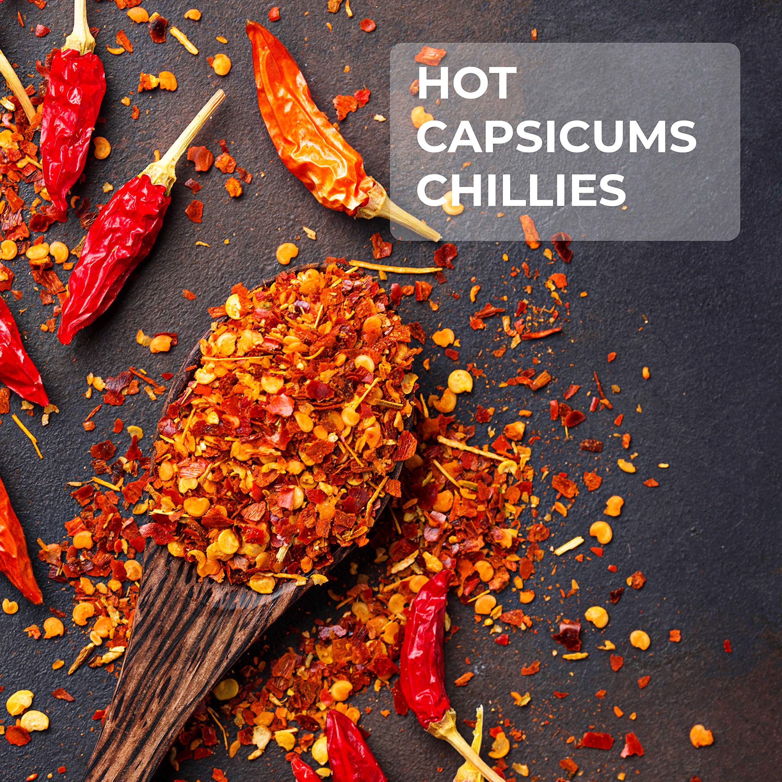Go Gourmet Indian Chilli Flakes - Dried Crushed Chillies for Spicy Flavour | 250g 3