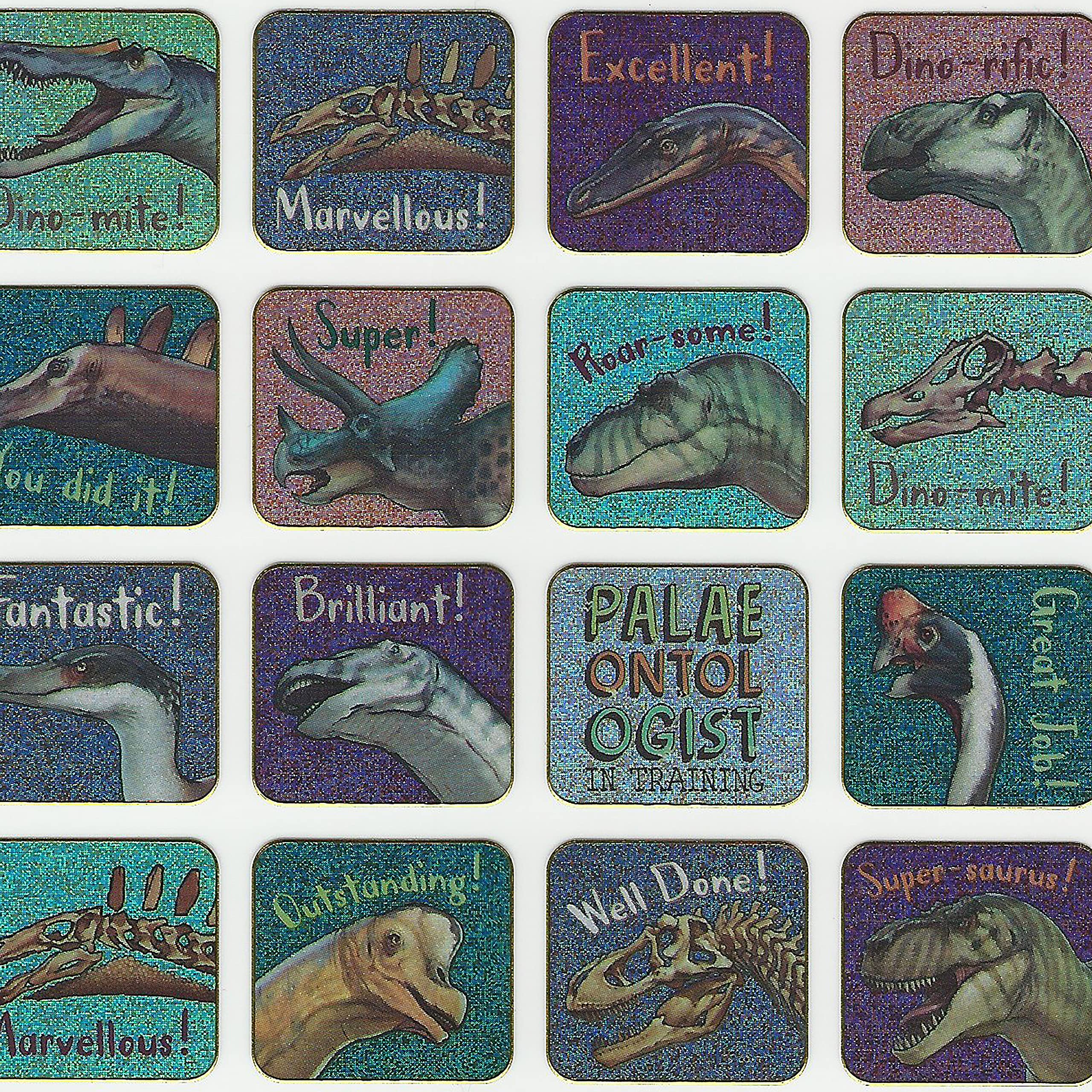 Paper Projects Natural History Museum Dinosaurs Reward Chart | A3 Size | Includes 56 Stickers 3