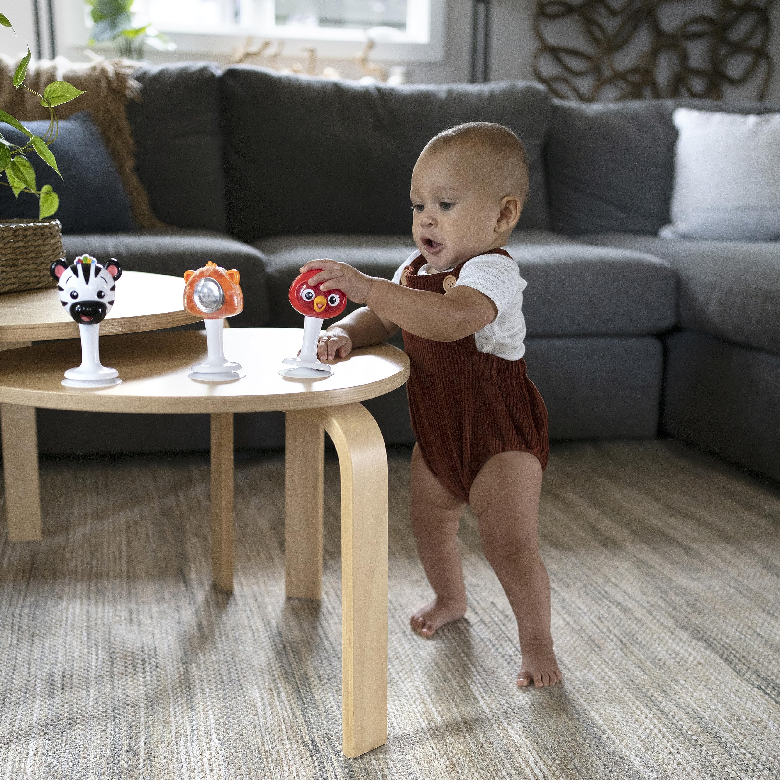 Baby Einstein Rattle & Jingle Trio Suction Toys for Ages 6 Months+ | Silicone 4