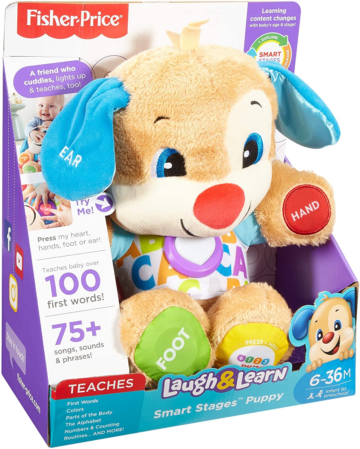 Fisher-Price Smart Stages Puppy – Interaktives pädagogisches Plüschspielzeug für Kinder ab 6 Monaten 7